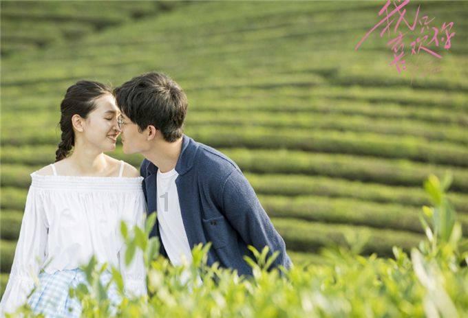 美妙森林找不同
